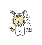 ウサギになりたいネコ（個別スタンプ：19）