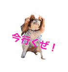 まるみのきもち（個別スタンプ：3）