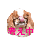 まるみのきもち（個別スタンプ：5）