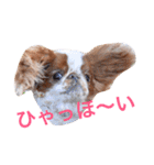 まるみのきもち（個別スタンプ：7）