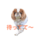 まるみのきもち（個別スタンプ：8）