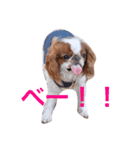 まるみのきもち（個別スタンプ：9）