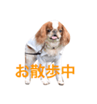 まるみのきもち（個別スタンプ：12）