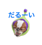 まるみのきもち（個別スタンプ：13）