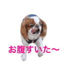 まるみのきもち（個別スタンプ：23）