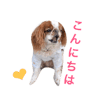 まるみのきもち（個別スタンプ：27）