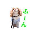 まるみのきもち（個別スタンプ：28）