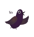 Stupid Birds (Thai version)（個別スタンプ：1）