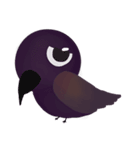Stupid Birds (Thai version)（個別スタンプ：17）