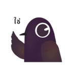 Stupid Birds (Thai version)（個別スタンプ：21）