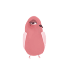 Stupid Birds (Thai version)（個別スタンプ：28）