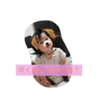 りったんのスタンプ（個別スタンプ：14）