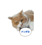 チャタラー＆ピ－（個別スタンプ：6）