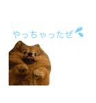 もふもふモカ（個別スタンプ：4）
