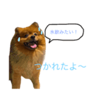 もふもふモカ（個別スタンプ：7）
