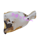 でぶねこまぐまぐ（個別スタンプ：5）