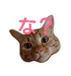 うちのトラえもん（個別スタンプ：3）
