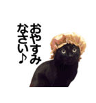 黒猫のメグロモグロ（個別スタンプ：7）