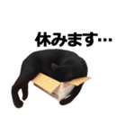 黒猫のメグロモグロ（個別スタンプ：18）
