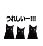 黒猫のメグロモグロ（個別スタンプ：20）