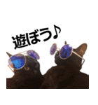 黒猫のメグロモグロ（個別スタンプ：24）