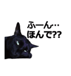 黒猫のメグロモグロ（個別スタンプ：27）