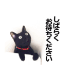黒猫のメグロモグロ（個別スタンプ：30）