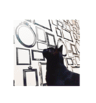 黒猫のメグロモグロ（個別スタンプ：31）