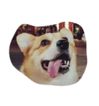tonysmile（個別スタンプ：6）