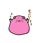 もっちりブタさん（個別スタンプ：5）