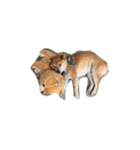 ジャイアン(柴犬)（個別スタンプ：1）
