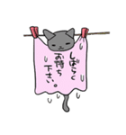 ねこタオル（個別スタンプ：8）