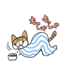 ねこタオル（個別スタンプ：26）