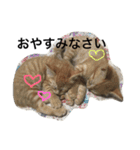 GOOD LUCK。（個別スタンプ：10）