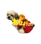 ぱんな1（個別スタンプ：1）