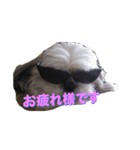 ぱんな1（個別スタンプ：4）
