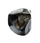 荊夏 その2（個別スタンプ：1）