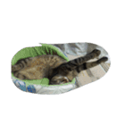 荊夏 その2（個別スタンプ：3）
