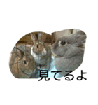 仲間の会話（個別スタンプ：2）
