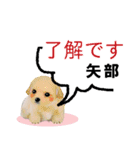 矢部さん用の名前スタンプ・子犬イラスト（個別スタンプ：4）