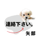 矢部さん用の名前スタンプ・子犬イラスト（個別スタンプ：12）