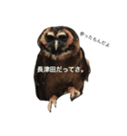 梟と田園都市線と（個別スタンプ：13）