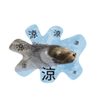 mimi1223stickers（個別スタンプ：13）