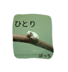 mimi1223stickers（個別スタンプ：16）