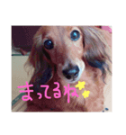 ぷりんちゃん♡（個別スタンプ：5）
