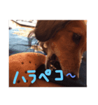 ぷりんちゃん♡（個別スタンプ：8）