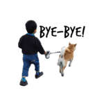 柴犬あゆき（個別スタンプ：2）