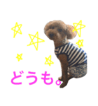 使える！といぷースタンプ。（個別スタンプ：1）