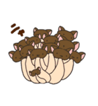 ねこキノコスタンプ（個別スタンプ：1）