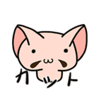 ねこキノコスタンプ（個別スタンプ：10）